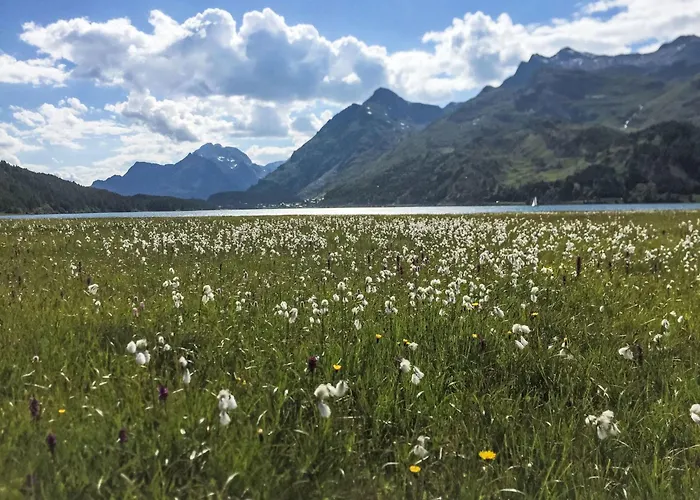 Chesa Blaunca By Interhome *